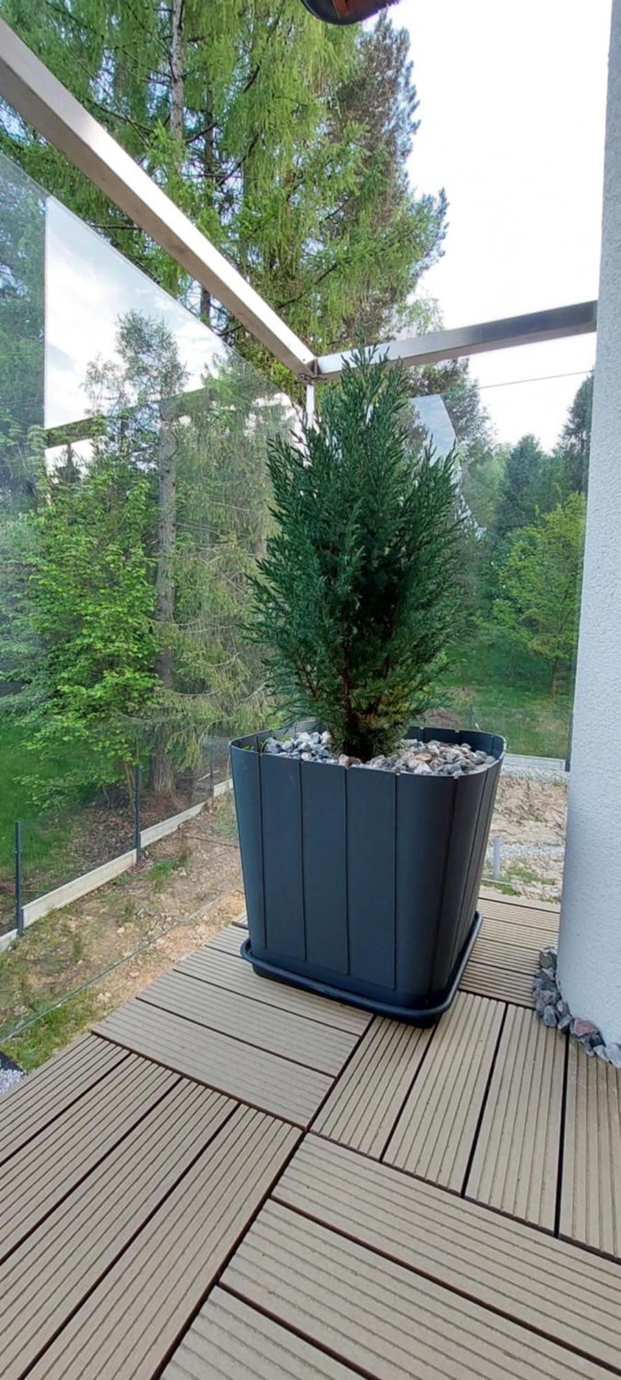 Leilighet Trzy Kopce & Bike & Sauna